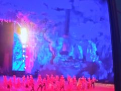 -广州长隆国际大马戏