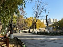 -文瀛公园