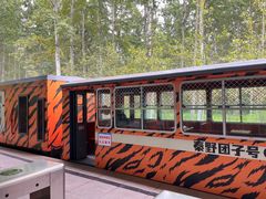 -秦皇岛野生动物园