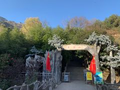 -王顺山国家森林公园