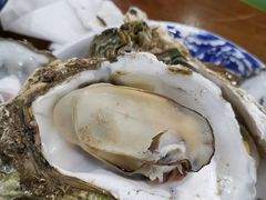-蚝得喜海鲜(东城店)