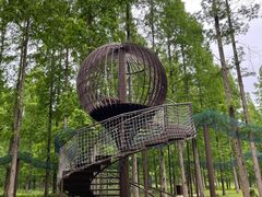 -黄海国家森林公园