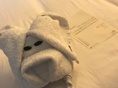 -三亚亚龙湾雅高铂尔曼别墅度假酒店