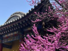 -西安市广仁寺