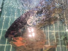 -小山寨(天润城店)