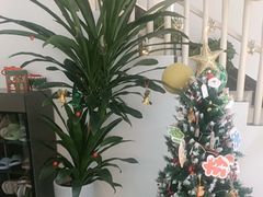 -奥园广场(广州番禺福德路店)