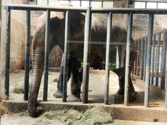 -石家庄市动物园