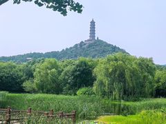 -北坞公园