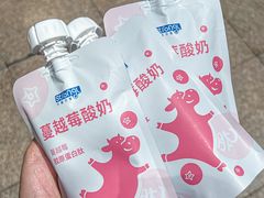 -白色日记·手作酸奶(麦凯乐店)