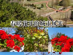 -棒棰岛宾馆景区