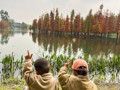 -白鹭湾湿地公园