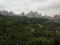 -龙头寺公园