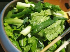 -蒙古苍狼蒙餐