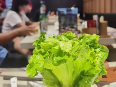 -浩爷羊蝎子火锅(望京店)