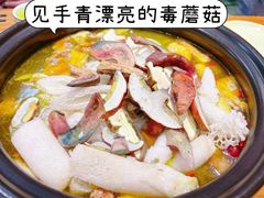-菌之家·专业纯野生菌火锅·特色炒菌