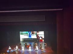 -合肥大剧院