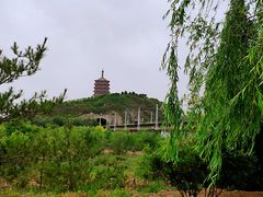 -永定河休闲森林公园