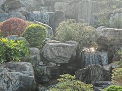 -东莞植物园