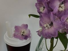 -喜茶(中山利和新地店)