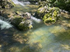 -牛背梁国家森林公园
