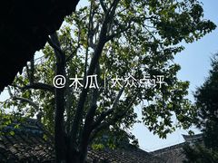 -水绘园