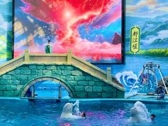 -海合安成都极地海洋公园