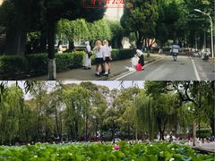 -四川大学(望江校区)
