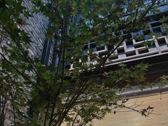 -Eu2+ coffee(上大路店)