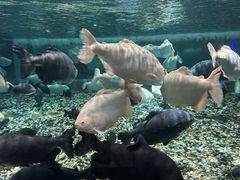 -成都浩海立方海洋公园