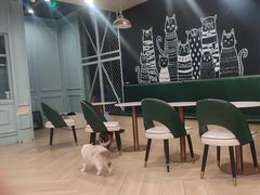 -安格丽娜·狗咖·猫咖羊驼咖(春熙路百盛商场店)