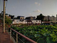 -广西钦州农业学校