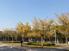 -华东政法大学(松江校区)