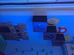 nook诺克密室逃脱(长宁店)-JOJO实景沉浸侦探剧本杀(大悦城店)