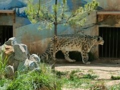 -青藏高原野生动物园