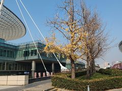 -世博源公馆·本帮融合菜·主题包厢·江景餐厅