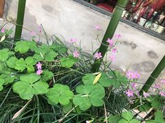 -西湖天地