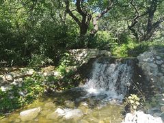 -静之湖湖畔餐厅