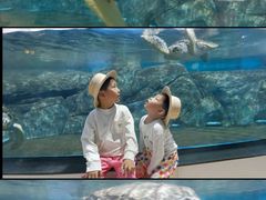 -福州罗源湾海洋世界旅游区