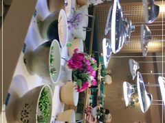 -青瓷火锅料理(西单大悦城店)