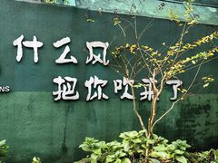 -大金鹰园
