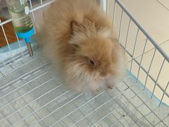 -怪兽屋·羊驼·猫咖·狗咖(俊华广场店)