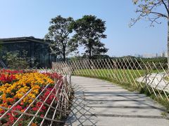 -海珠湖公园