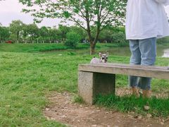 -艾溪湖湿地公园