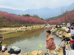 -福清灵石山国家森林公园