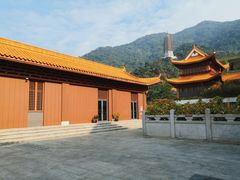 -深圳仙湖植物园