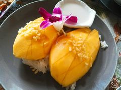 -Jungle Kitchen