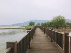 -太湖湖滨国家湿地公园-停车场