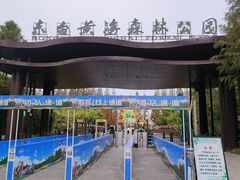 -黄海国家森林公园