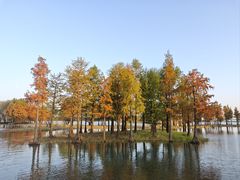 -贡湖湾湿地公园