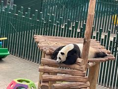 -沈阳森林动物园